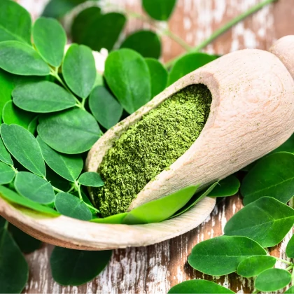 Moringa